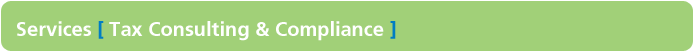 Tax Consulting